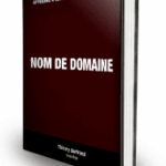 কিভাবে একটি ডোমেইন নাম নির্বাচন করবেন » সস্তা ব্লগ