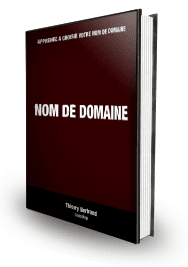 কিভাবে একটি ডোমেইন নাম নির্বাচন করবেন » সস্তা ব্লগ