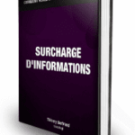 الحمل الزائد للمعلومات (كتاب إلكتروني)