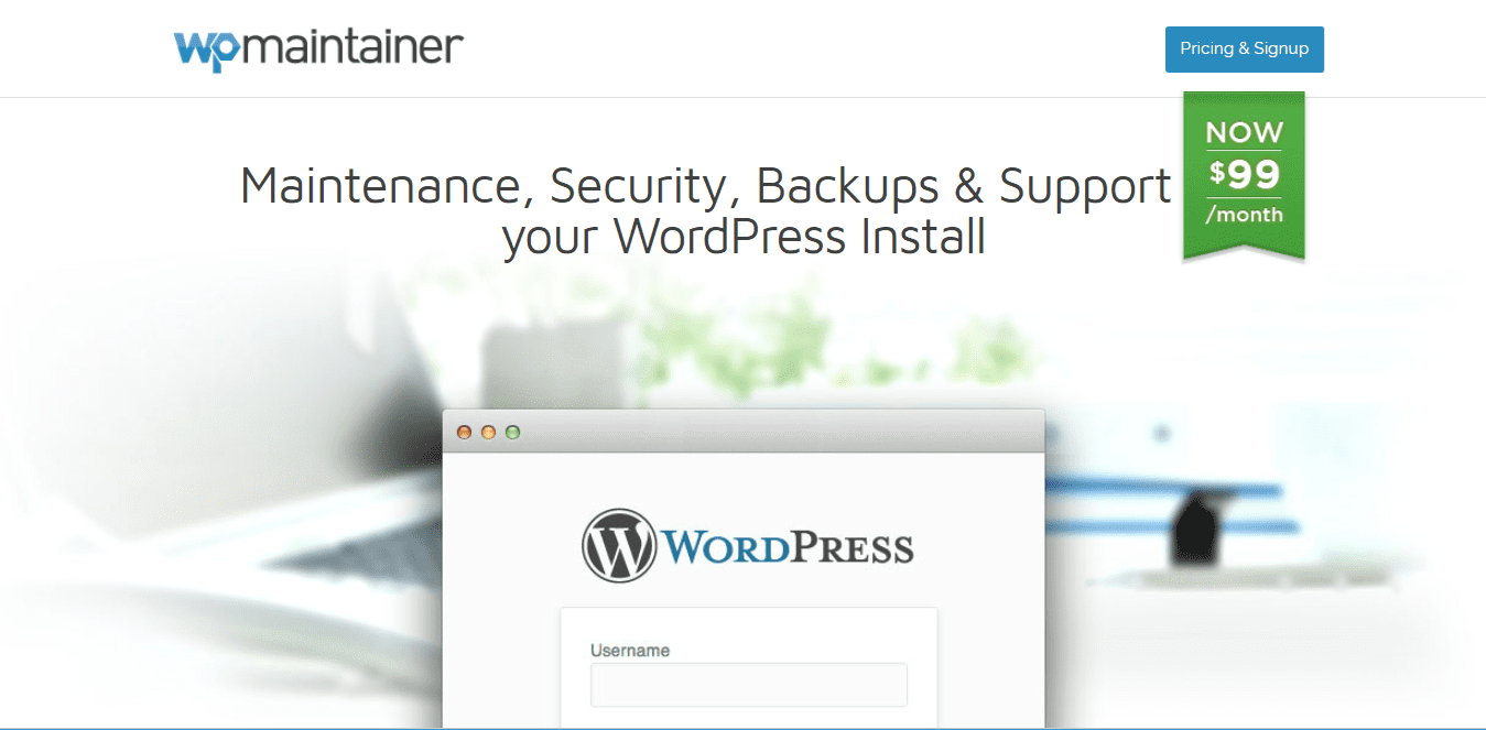 Wordpress support