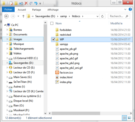 Mon installation de WordPress est appelé «WP».