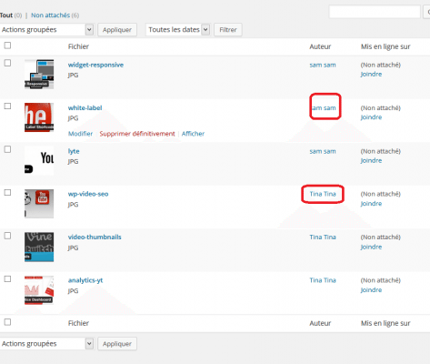WP-Users-Media-Bibliothèque-Administrateur-Exemple