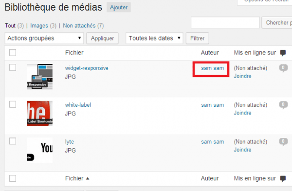 WP-Users-Media-Bibliothèque-Sam-Exemple