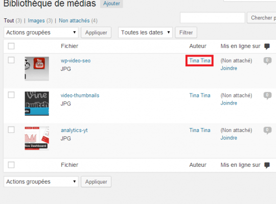 WP-Users-Media-Bibliothèque-Tina-Exemple