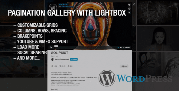 Youtube vimeo pagination gallery plugin wordpress Youtube vimeo pagination gallery plugin wordpress
