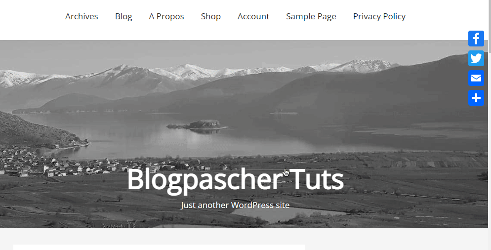 ajouter-une-barre-de-reseaux-sociaux-flottante-dans-wordpress-4 » BlogPasCher