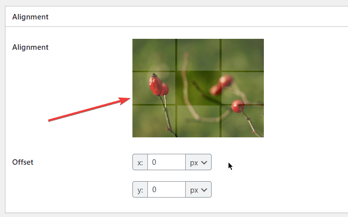 protegez-vos-images-avec-le-plugin-wordpress-easy-watermark-3 » BlogPasCher