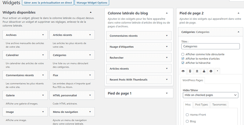 plugin WordPress gratuit - Widget options masquer titre widget blogpascher 1