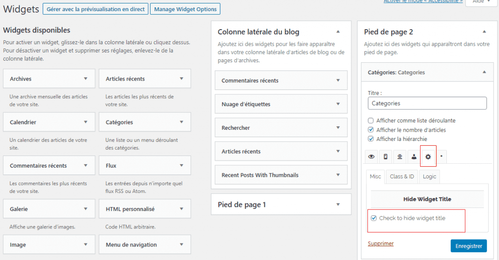 Widget options masquer titre widget blogpascher 2