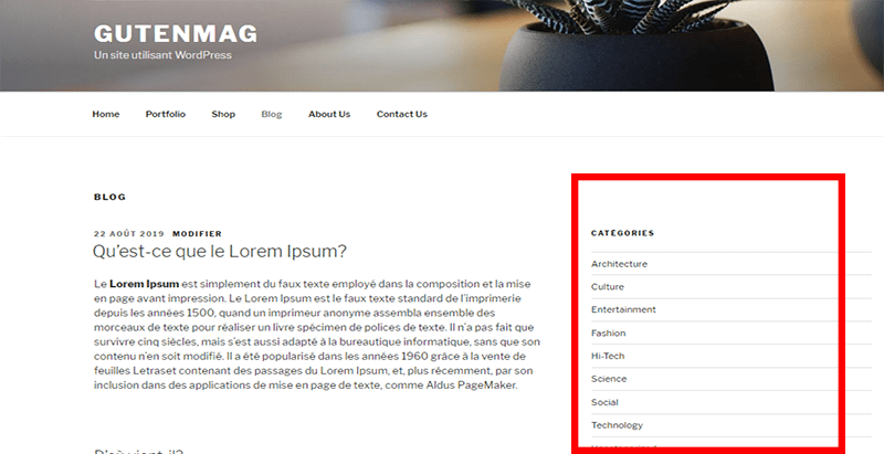 meilleur plugin WordPress - Widget options masquer titre widget blogpascher 3
