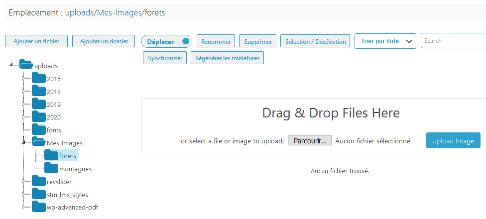 Comment organiser fichiers wordpress dossiers bibliothèque médias blogpascher 5 Comment organiser les fichiers et dossiers WordPress de la médiathèque