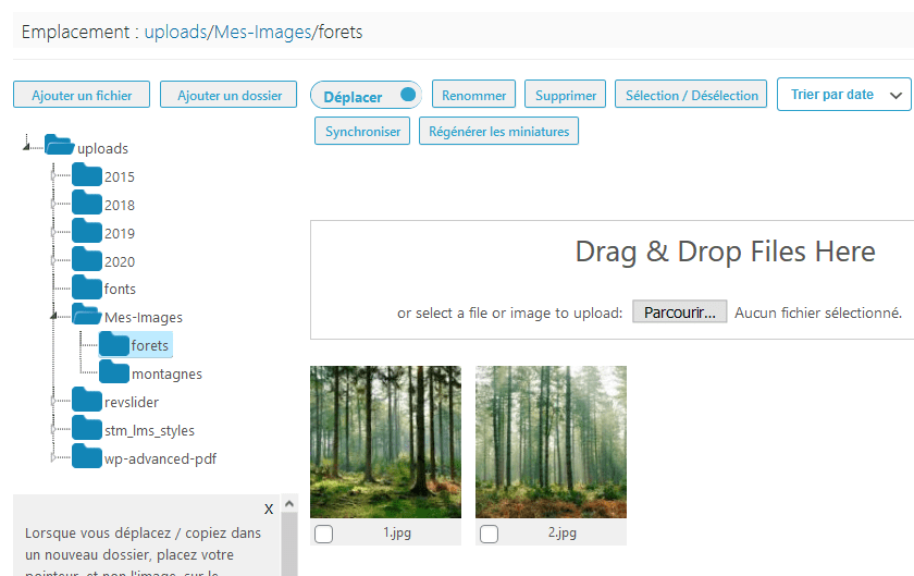 Comment organiser fichiers wordpress dossiers bibliothèque médias blogpascher 6 Comment organiser fichiers wordpress dossiers bibliothèque médias blogpascher 6