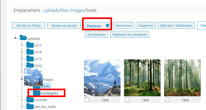 Comment organiser fichiers wordpress dossiers bibliothèque médias blogpascher 7 Comment organiser les fichiers et dossiers WordPress de la médiathèque