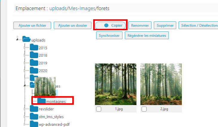 Comment organiser fichiers wordpress dossiers bibliothèque médias blogpascher 8 Comment organiser fichiers wordpress dossiers bibliothèque médias blogpascher 8