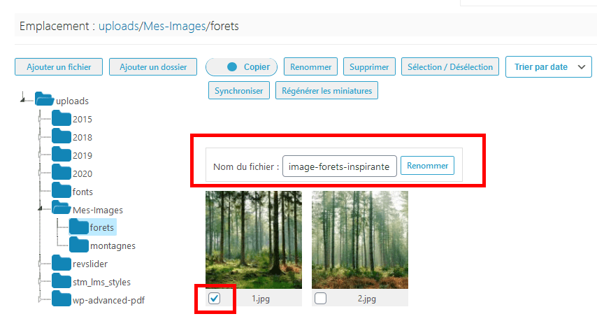 Comment organiser fichiers wordpress dossiers bibliothèque médias blogpascher 9 Comment organiser fichiers wordpress dossiers bibliothèque médias blogpascher 9
