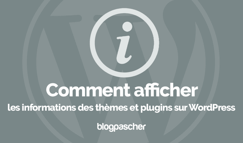 Come visualizzare le informazioni su temi e plugin di WordPress