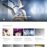 photoreactive un theme wordpress pour site de photographe blogpascher 6