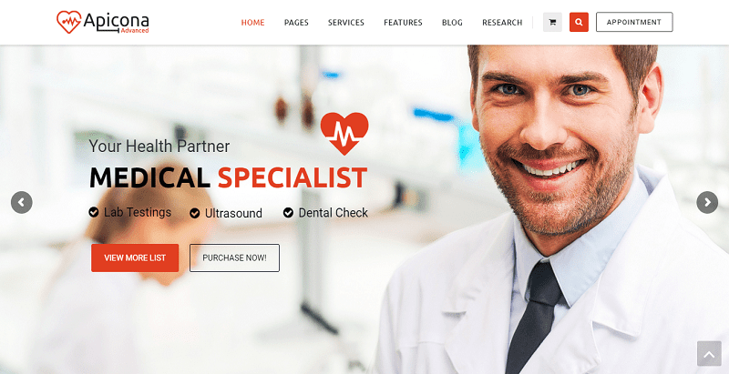 Apicona theme wordpress Apicona theme wordpress