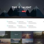 Salient un theme wordpress optimise pour le mobile blogpascher 6