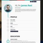 Vertica un theme wordpress pour un site web de cv blogpqscher 6