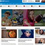 Voice un theme wordpress pour site web de magazine blogpascher 6