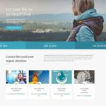 Born to give un theme wordpress pour lever des fonds de charite blogpascher 6
