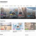 Freshmag un theme wordpress pour magazine blogpascher 6