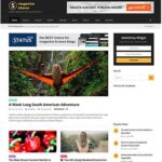 Status un theme wordpress pour magazine blogpascher 6