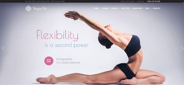 yogafit-10-themes-wordpress-club-sport-fitness-blogpascher