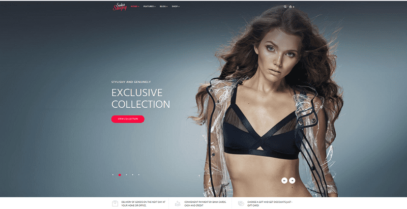Solossopy1 najlepšie témy WordPress - Solosshopy