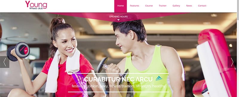 young-fitness-themes-joomla-site-web-sport-fitness-blogpascher