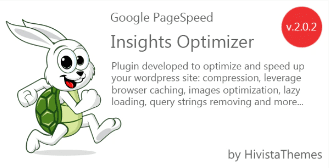 Google pagespeed insights optimizer plugin wordpresss