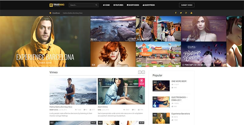 Truemag 2 themes wordpress adsense monetiser site web annonces publicites truemag-2-themes-wordpress-adsense-monetiser-site-web-annonces-publicites