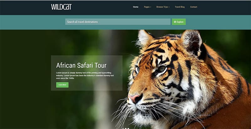 Wildcat themes wordpress creer site web tour operateur agence voyages wildcat-themes-wordpress-creer-site-web-tour-operateur-agence-voyages
