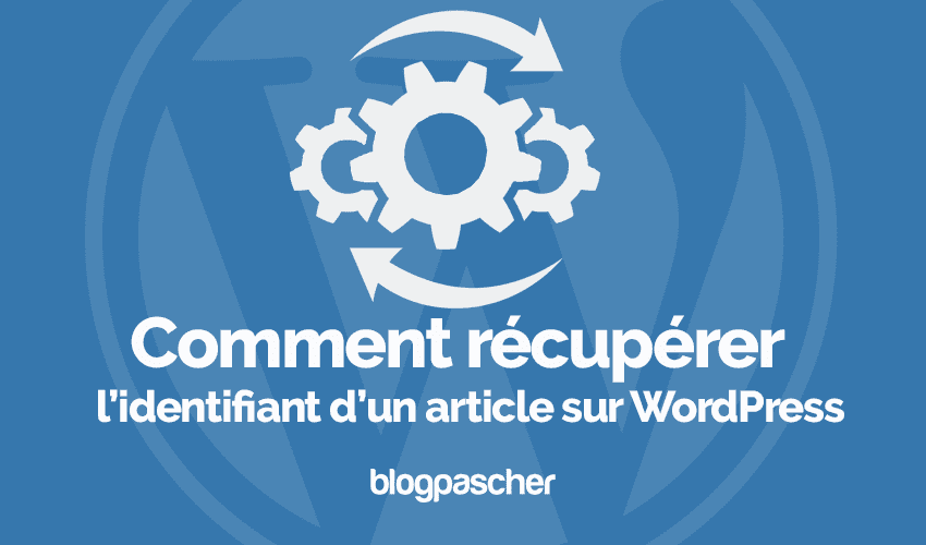 Comment récupérer l’identifiant d’un article, page ou catégorie sur WordPress