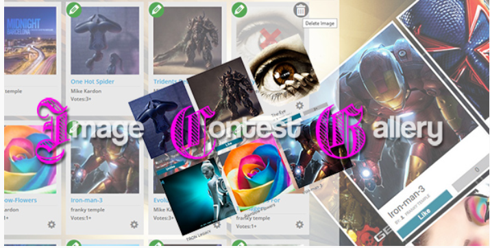 Image contest gallery system Image contest gallery system