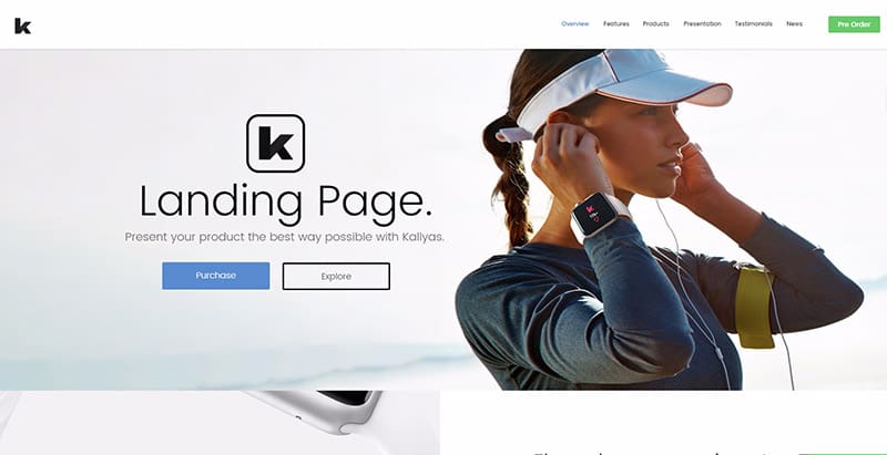 meilleurs thèmes WordPress - kallyas