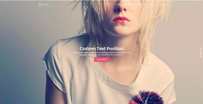 Story themes wordpress creer site web entreprise parallaxe