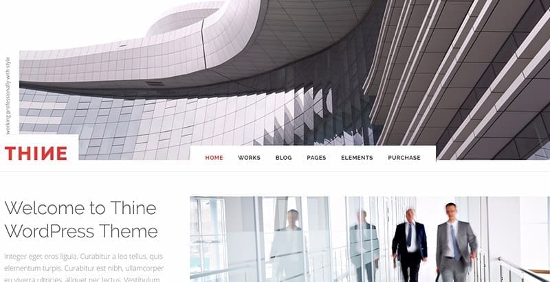 Thine themes wordpress creer site web cabinet consulting 1 Thine themes wordpress creer site web cabinet consulting 1