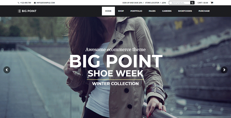 Big point theme wordpress e commerce