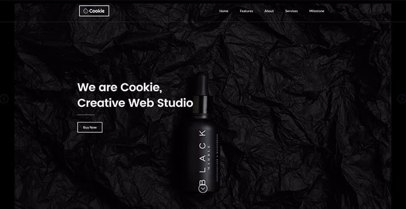 Cookie themes wordpress creer site web portfolio photographe artiste Cookie themes wordpress creer site web portfolio photographe artiste