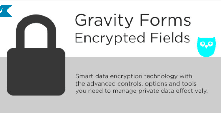 Gravity forms encrypted fields plugins wordpress integrer politique confidentialite Gravity forms encrypted fields plugins wordpress integrer politique confidentialite