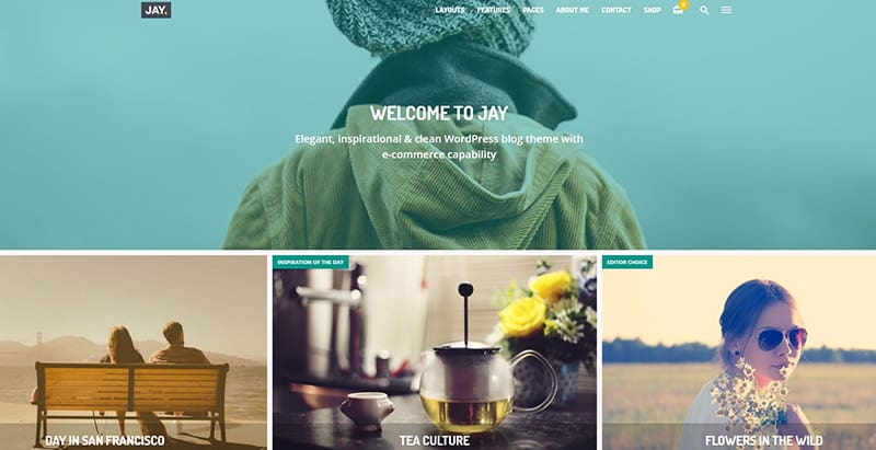 Jay 10 themes wordpress creer site web