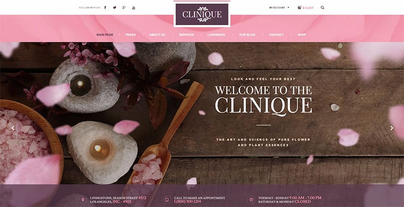 Clinique themes wordpress creer site web spa salon beaute massage Clinique themes wordpress creer site web spa salon beaute massage