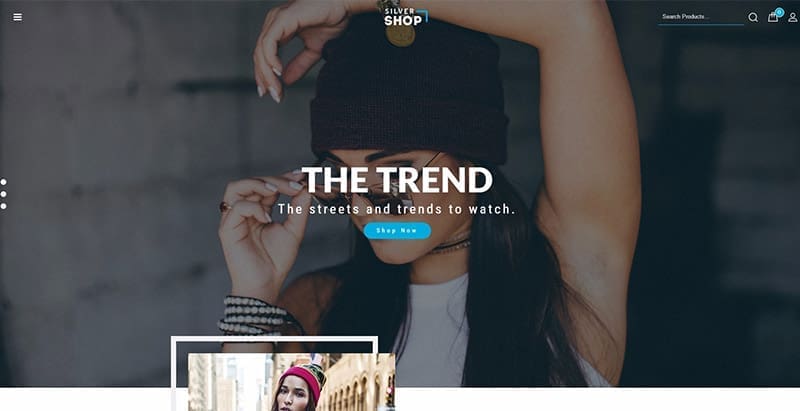 Silver shopl themes wordpress pour creer un site web de ecommerce Silver shopl themes wordpress pour creer un site web de ecommerce