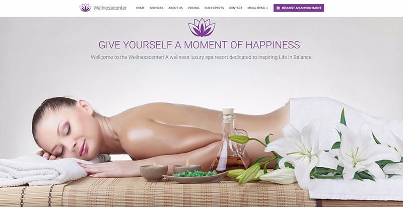 Wellness center themes wordpress creer site web spa salon massage beaute