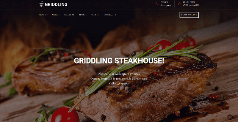 Griddling themes wordpress creer site web boucher