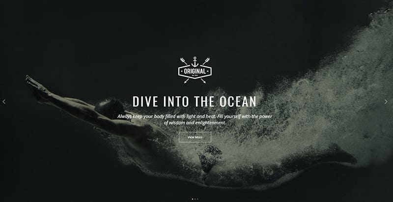 Vigor 10 thèmes wordpress au style sombre pour créer un site web Vigor 10 thèmes wordpress au style sombre pour créer un site web