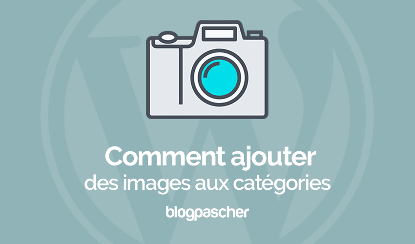 Comment ajouter des images aux taxonomies sur WordPress