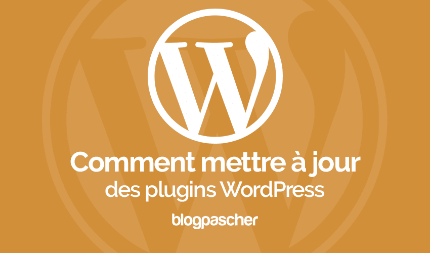 Comment correctement mettre un plugin à jour sur WordPress